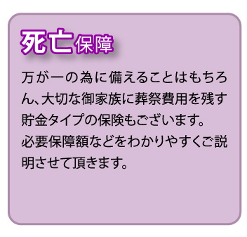 ���؎s�̕ی����k